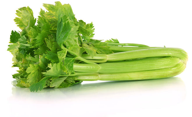 Food for summre 9