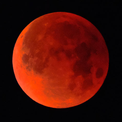 Super Blue Blood Moon पर दिखा अनोखा ग्रहण, ये हैं सबसे खूबसूरत तस्वीरें...