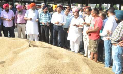 Purchasing wheat in food grain market