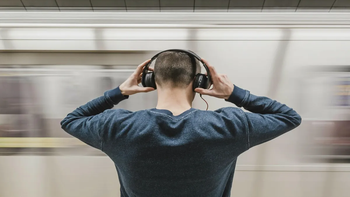 Noise Cancelling हेडफोन