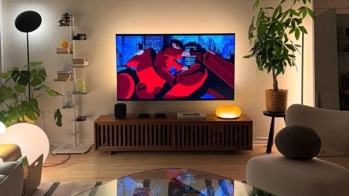 VW TV कंपनी मॉडल्स