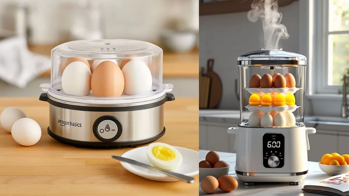 बेस्ट एग बॉयलर मशीन