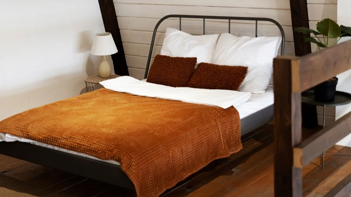 छोटे लिविंग रूम के लिए फोल्डिंग बेड