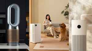 Air Purifier Buying Guide