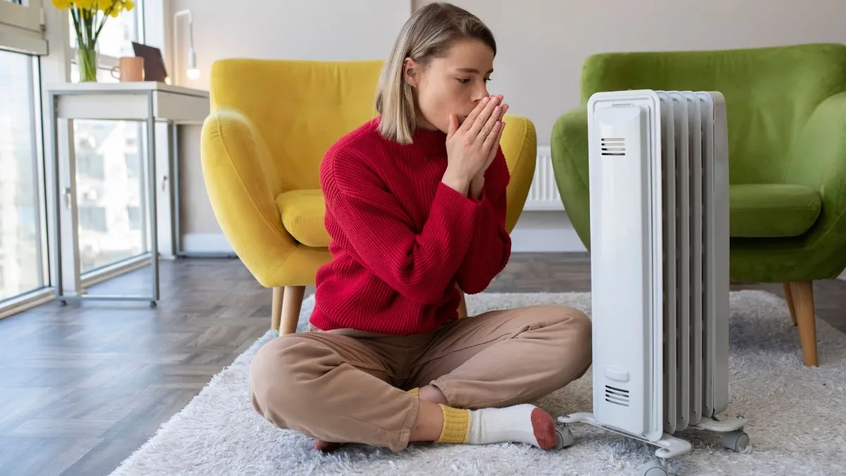 अमेजन पर उपलब्ध टॉप 5 ऑयल हीटर