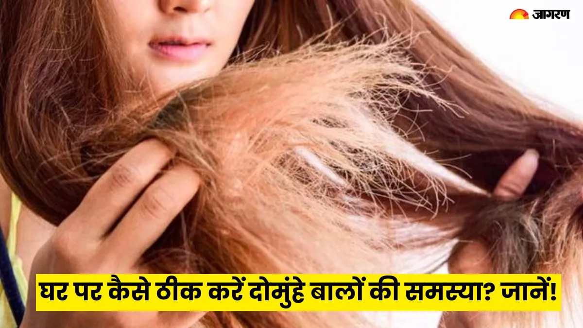 घर पर कैसे ठीक करें दोमुंहे बालों की समस्या?