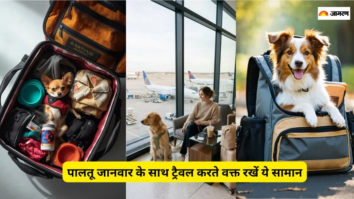 पालतू जानवर के साथ सफर की शुरुआत करें