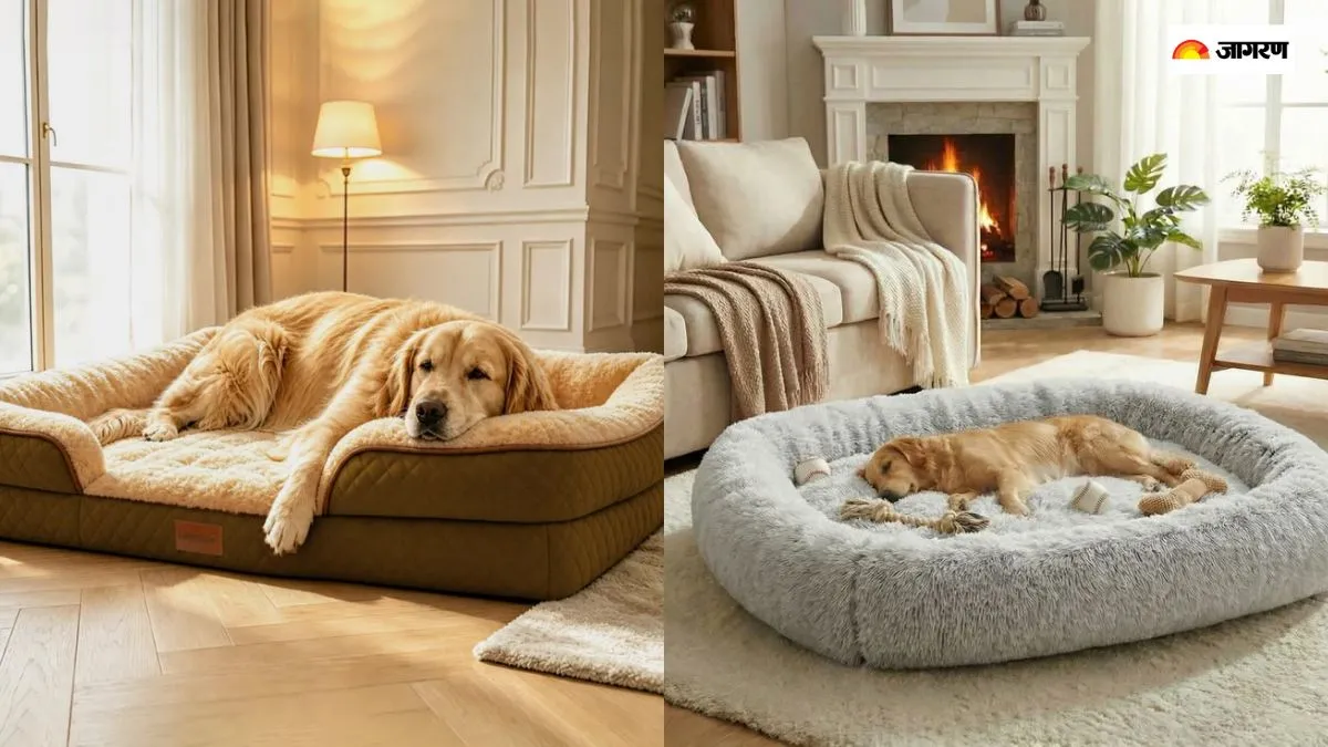 अमेजन पर उपलब्ध डॉग बेड्स