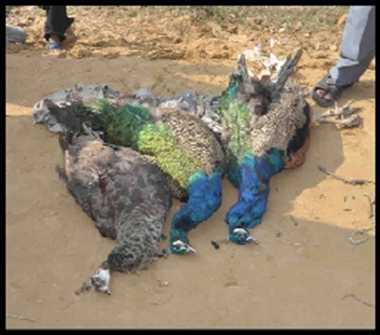 News Article Hero Image