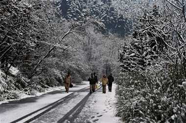 News Article Hero Image