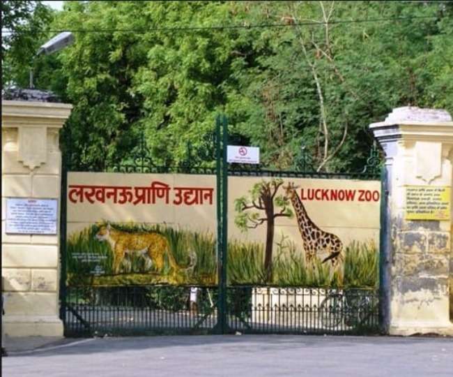 अब लखनऊ Zoo की सैर के लिए करनी होगी जेब ढीली, टिकट की नए दरें लागू