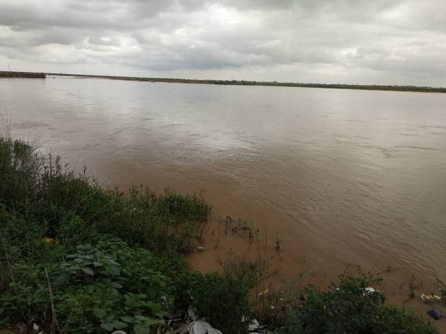 लगातार हो रही बारिश से उफनाई सोन नदी