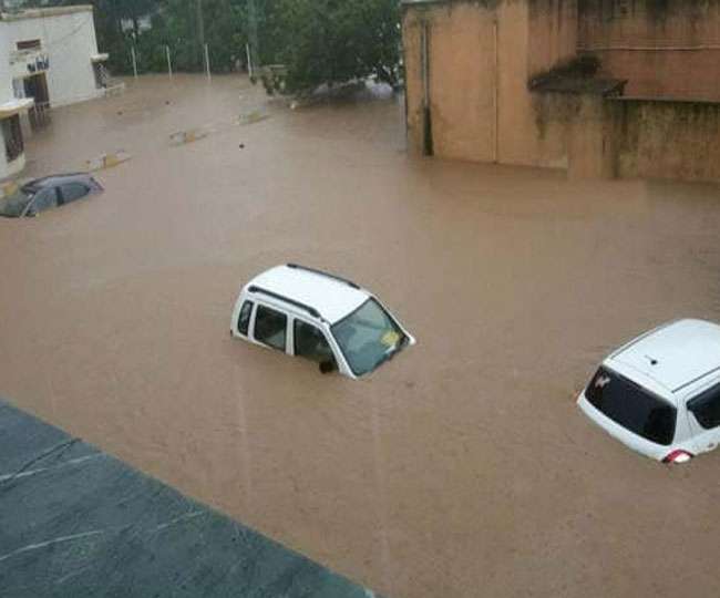 Gujarat Rain: वड़ोदरा में जलप्रलय, 499 मिमी बारिश रिकॉर्ड, घरों के करीब पहुंचे मगरमच्छ