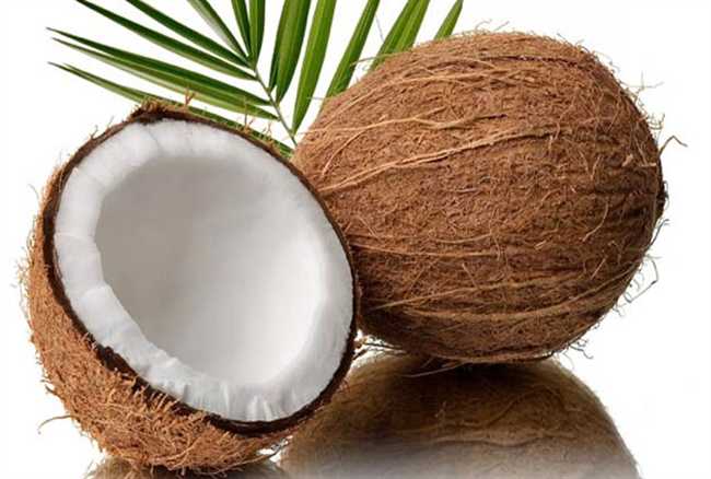 why coconut offering in all hindu rituals