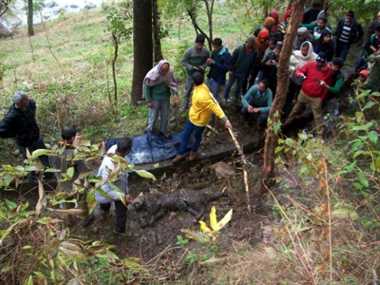 News Article Hero Image