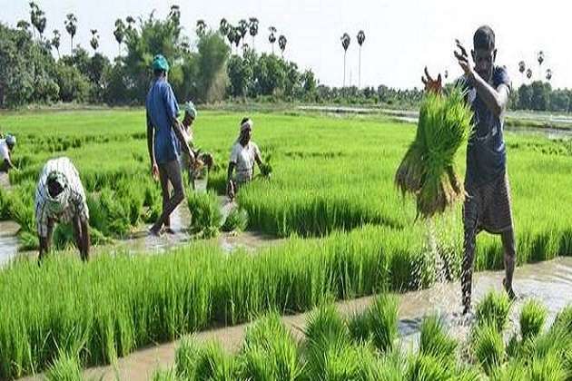 News Article Hero Image