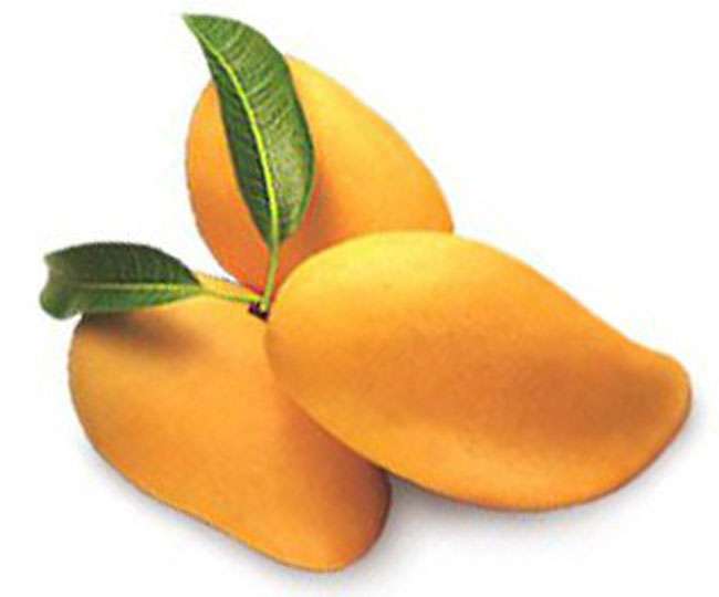 taste of mango in off season after invention of late variety