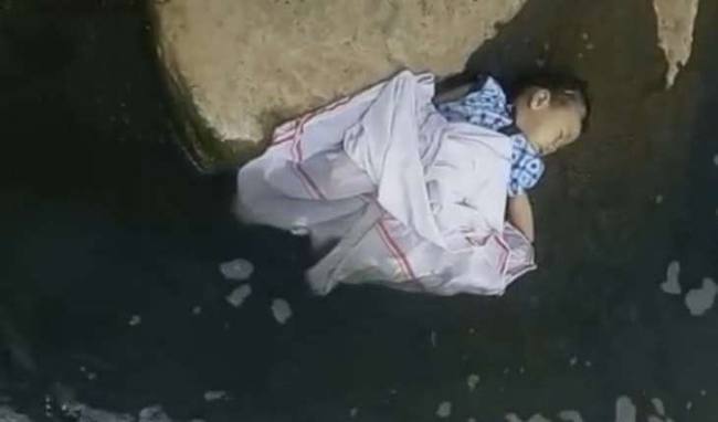 News Article Hero Image