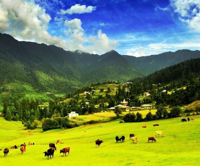 सितंबर से अक्टूबर का महीना है ग्रेट हिमालयन नेशनल पार्क घूमने के लिए बेस्ट -