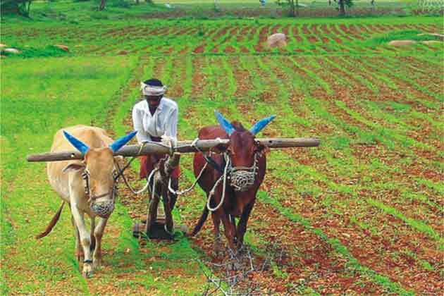 किसानों की आय दोगुना करने की स्कीमों पर सरकार सक्रिय