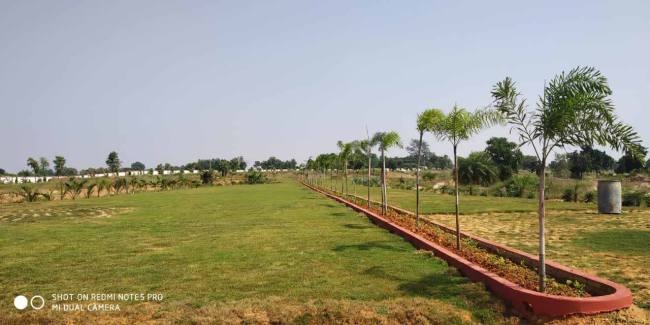 construction of eco park stopped