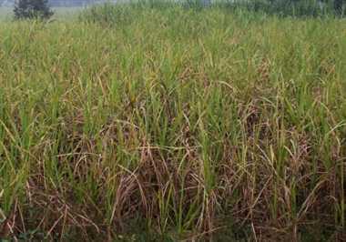 News Article Hero Image