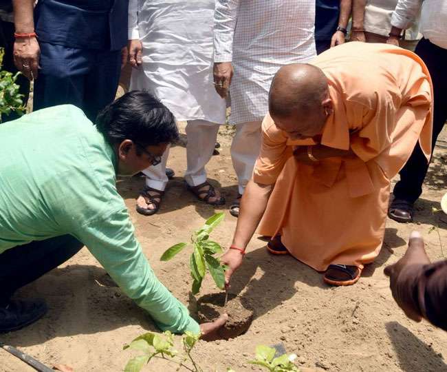CM योगी आदित्यनाथ ने विश्व पर्यावरण दिवस पर किया पौधरोपण - UP CM Yogi ...