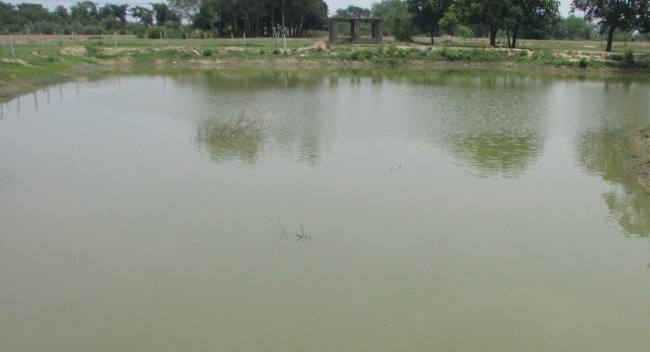 Image result for talab ki par todte photo