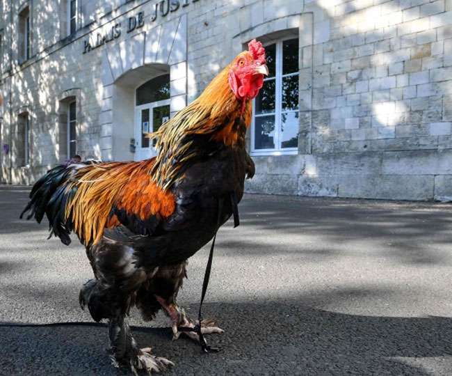 à¤«à¥à¤°à¤¾à¤à¤¸ à¤®à¥à¤ à¤®à¥à¤°à¥à¤à¥ à¤à¥ à¤¬à¤¾à¤à¤ à¤¬à¤¨à¥ à¤°à¤¾à¤·à¥à¤à¥à¤°à¥à¤¯ à¤¬à¤¹à¤¸ à¤à¤¾ à¤®à¥à¤¦à¥à¤¦à¤¾, à¤¦à¥à¤¶ à¤à¥ à¤¸à¥à¤µà¤¾à¤­à¤¿à¤®à¤¾à¤¨ à¤¸à¥ à¤à¥à¤¡à¤¼à¥ à¤à¤¦à¤¾à¤²à¤¤à¥ à¤²à¤¡à¤¼à¤¾à¤