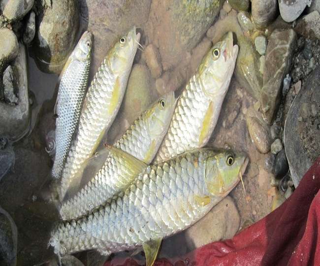 News Article Hero Image