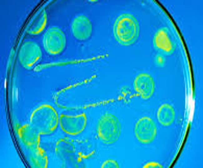 News Article Hero Image