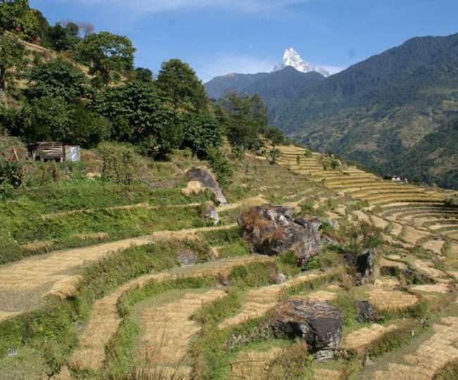 उत्तराखंड के खेतों से हर साल खिसक रही है 15 टन मिट्टी, जानिए