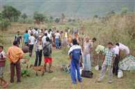 News Article Hero Image