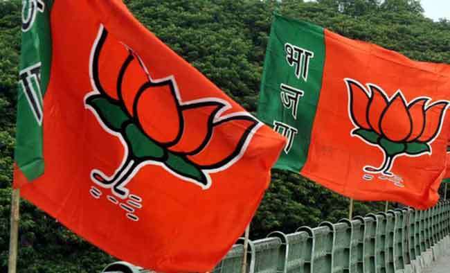 BJP contribution fair