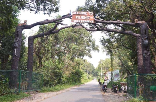 दुस्साहस : पीलीभीत के टाइगर रिजर्व में ही पर्यावरण दिवस पर कर दिया हरियाली का कत्ल