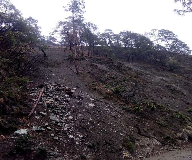 News Article Hero Image