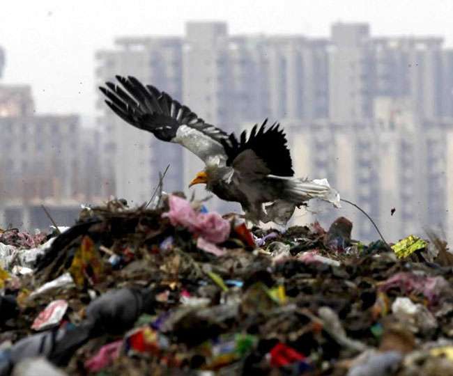 यहां तेजाब बन चुका है जमीन के नीचे का पानी, पशु भी पीते हैं RO वॉटर