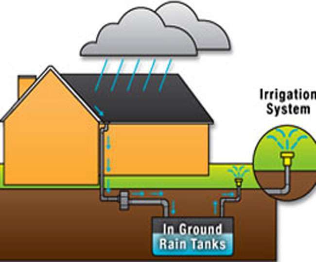 Rainwater Harvesting: Schools in Prayagraj, UP to take steps, Check details here Rainwater Harvesting: Schools in Prayagraj, UP to take steps, Check details here