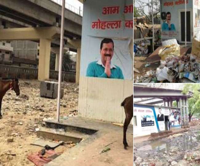 केजरीवाल के मोहल्ला क्लीनिक में गधे-घोड़ों की मौज, कपिल बोले- सच जानती है दिल्ली