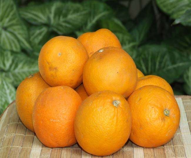 Malta most healthful of the Earth know what its advantages jagran special