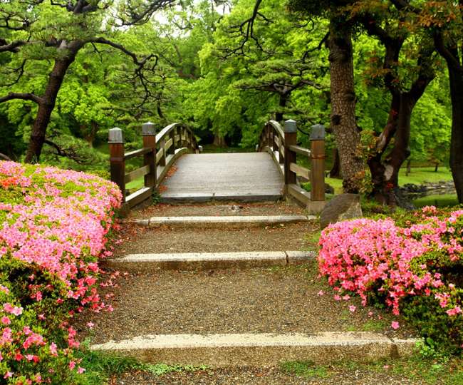 पारà¥à¤à¤¨à¤° à¤à¥ साथ मà¥à¤¨à¤¸à¥à¤¨ सà¥à¤à¤¨ à¤à¥ à¤à¤¨à¥à¤à¥à¤¯ à¤à¤°à¤¨à¥ à¤à¥ लिठपरफà¥à¤à¥à¤ हà¥à¤ यॠ5 डà¥à¤¸à¥à¤à¤¿à¤¨à¥à¤¶à¤¨à¥à¤¸