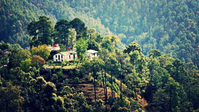 शहर की भागदौड़ से दूर उत्तराखंड के बिनसर में मिलेगा आराम, जानें क्या है यहां खास -