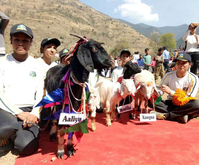 आलिया, कंगना और श्रद्धा ने की शादी, जानिए कौन बने इनके दूल्हे!