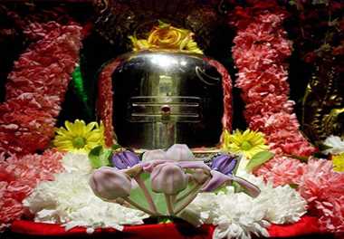 What Should Know Which god plating Flower