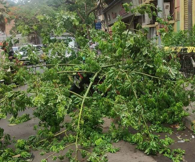 Cyclone Vayu Live: गुजरात से पहले मुंबई पर तूफान का कहर, 70 किमी की रफ्तार, उखड़े पेड़