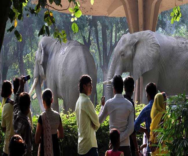 ncr Biometric records of elephants in Delhi NCR