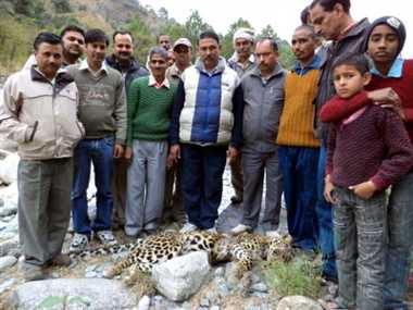 News Article Hero Image