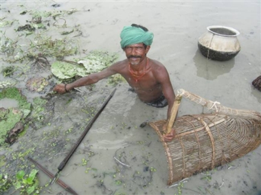 मखाना की खेती से लोगों को मिल रहा है रोजगार