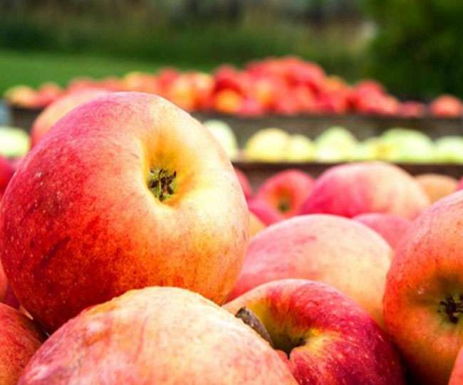 Decrease in apple production in Himachal 72 crores less business
