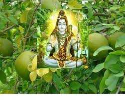 News Article Hero Image